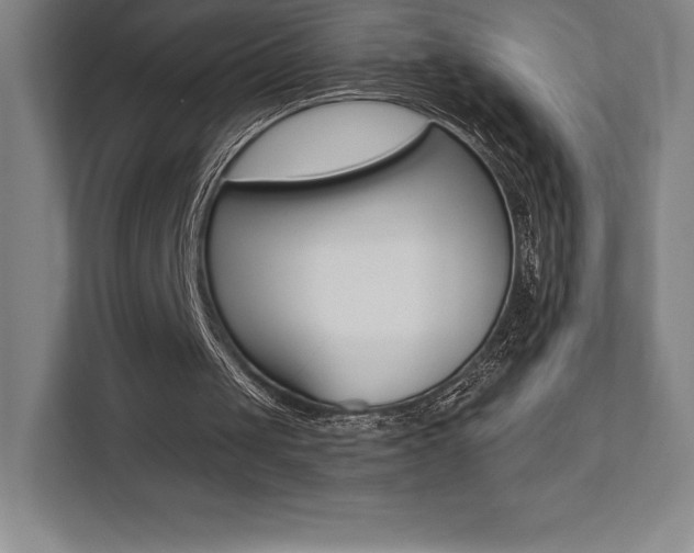 X0000112030049200908031030