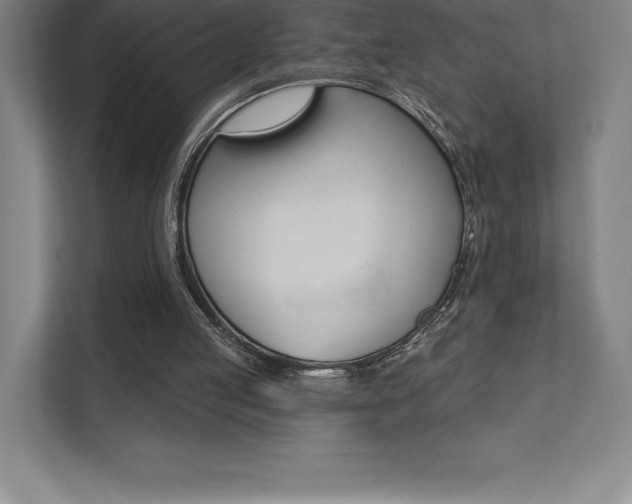 X0000112030053200908031030