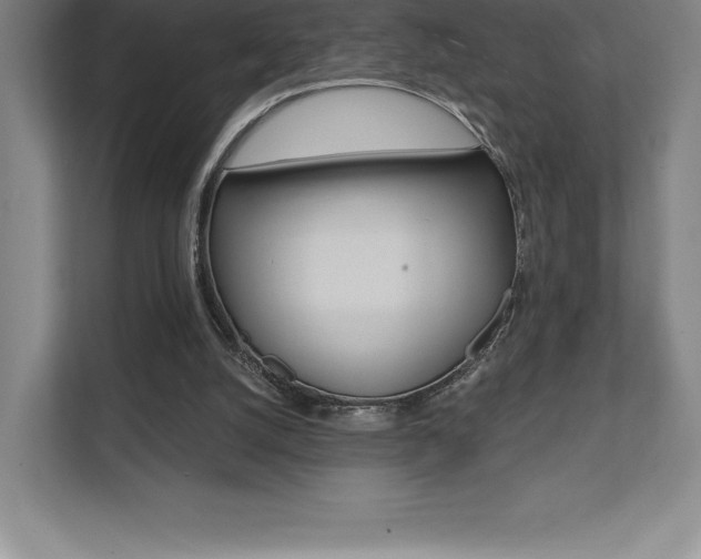 X0000112030056200908031030
