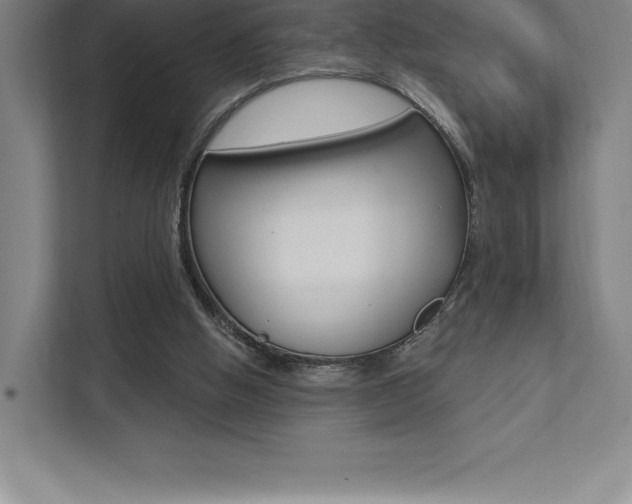 X0000112030058200908031030