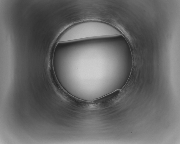 X0000112030060200908031030