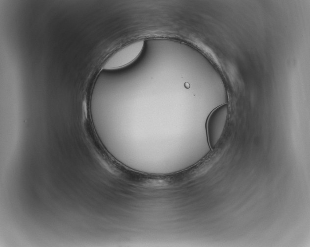 X0000112030061200908031030