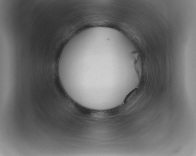 X0000112030079200908031030