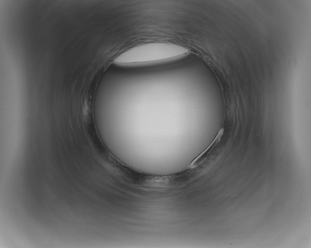 X0000112030084200908031031