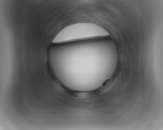 X0000112030085200908031031