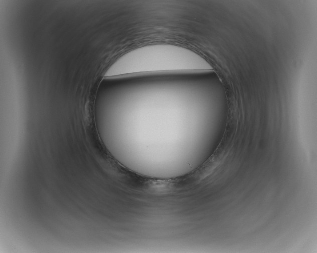 X0000112030088200908031031
