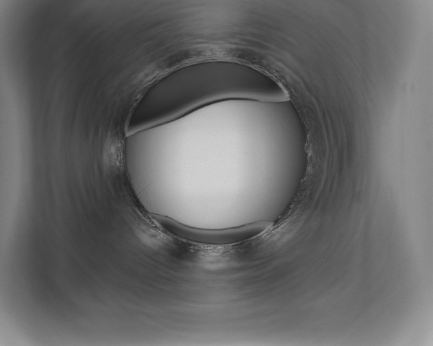X0000112030096200908031031