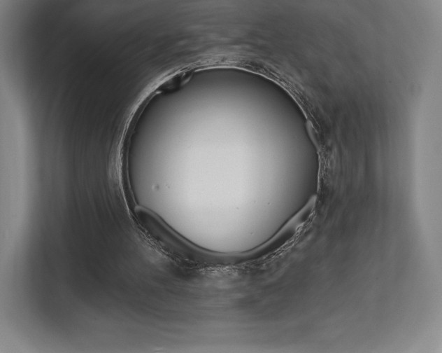 X0000112030100200908031030