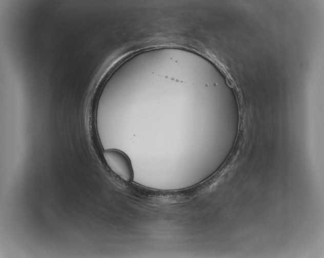 X0000112030103200908031030