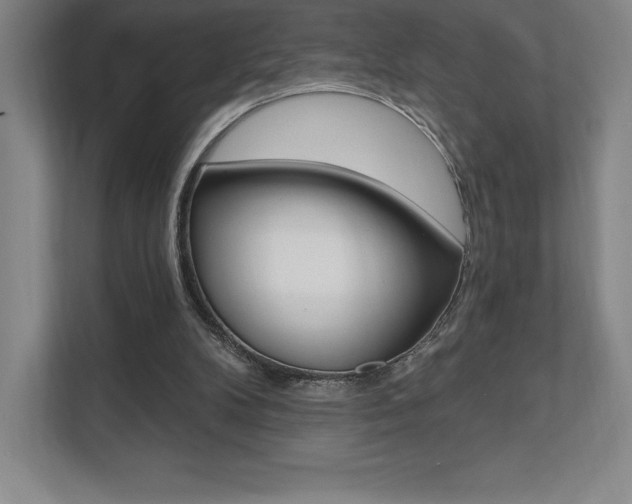 X0000112030104200908031030