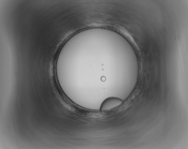X0000112030106200908031030