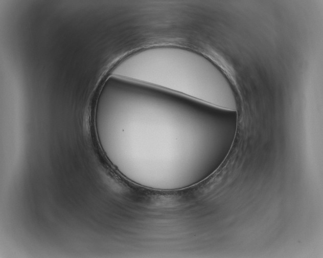 X0000112030107200908031030