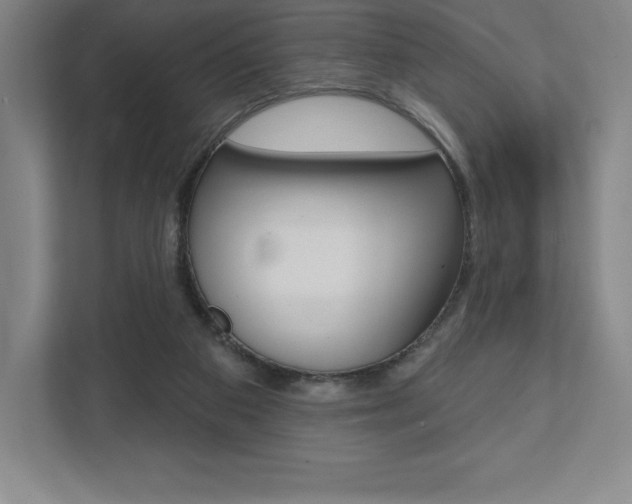 X0000112030113200908031030