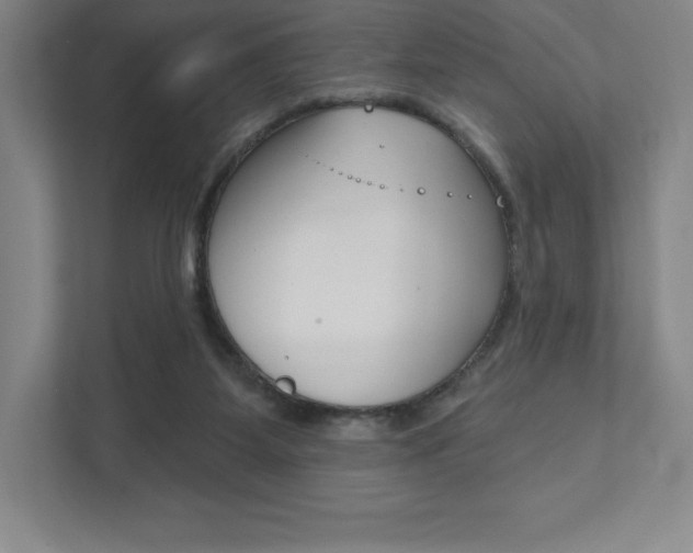 X0000112030115200908031030