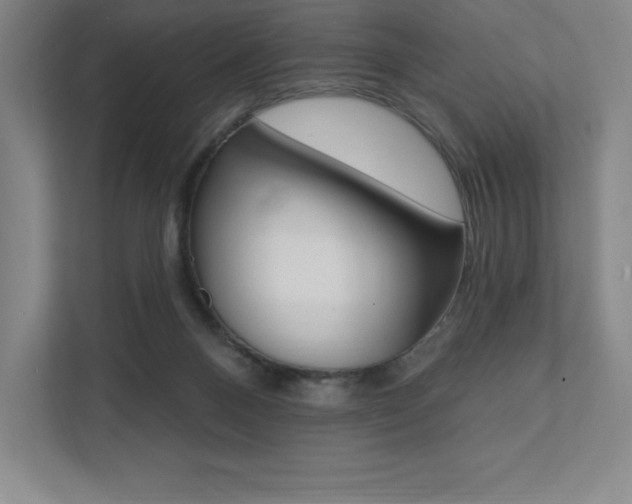 X0000112030120200908031030