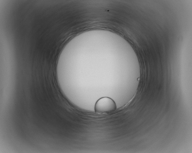 X0000112030128200908031030