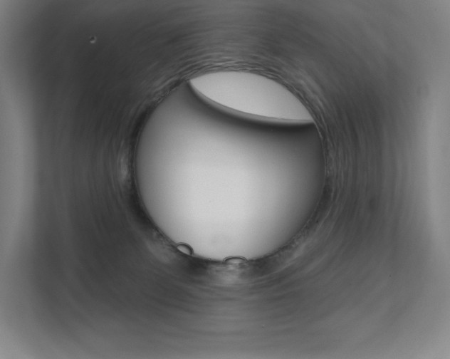 X0000112030131200908031030