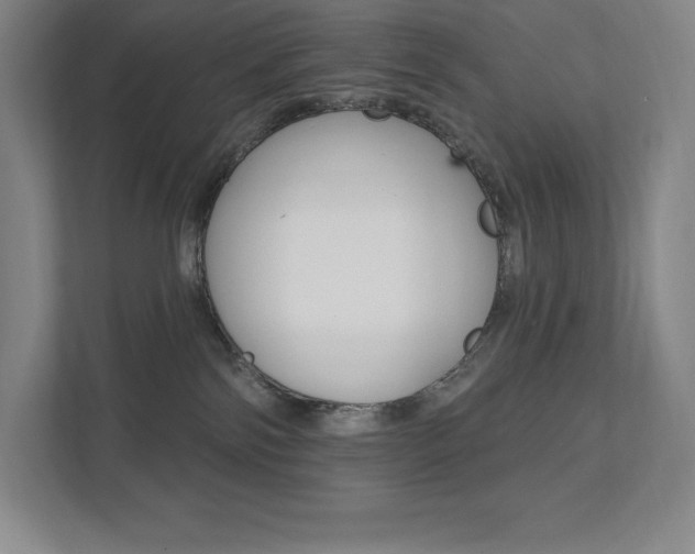 X0000112030138200908031030