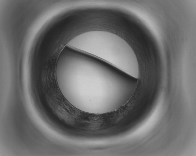 X0000112030143200908031029