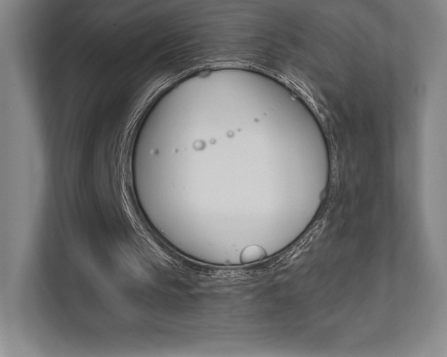 X0000112030145200908031029