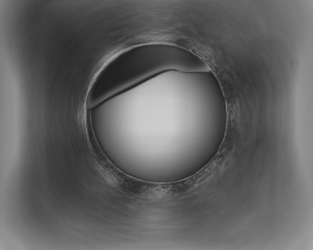 X0000112030148200908031029