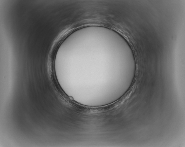 X0000112030149200908031029