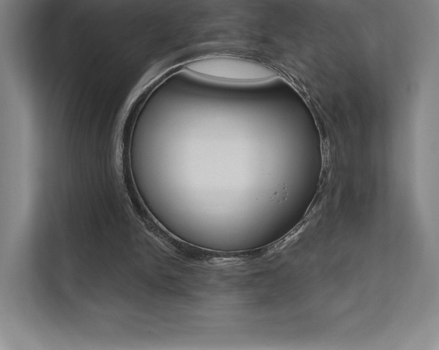 X0000112030150200908031029
