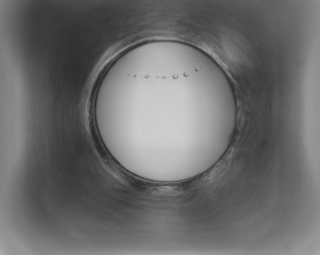 X0000112030151200908031029