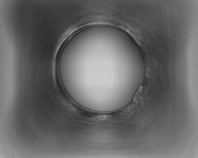 X0000112030152200908031029