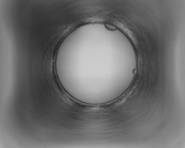 X0000112030153200908031029