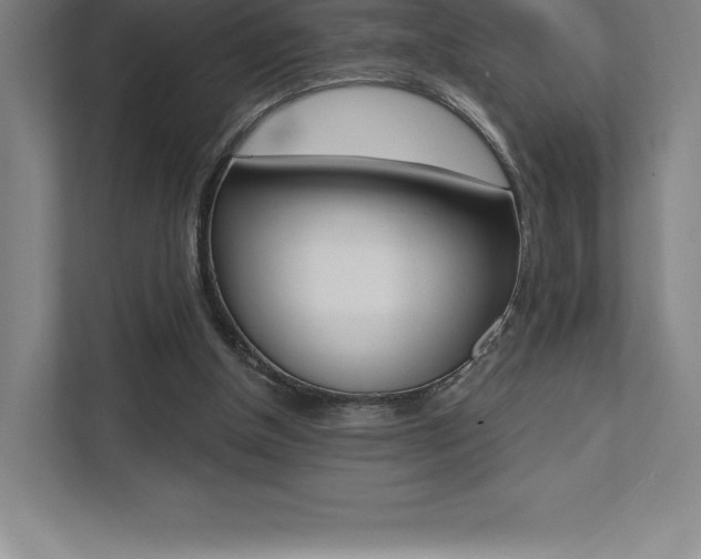 X0000112030154200908031029