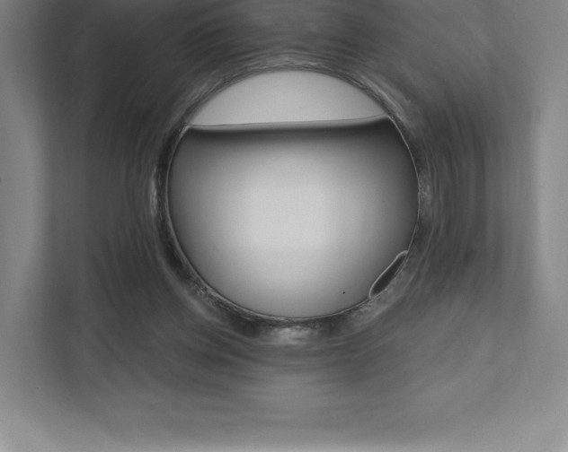 X0000112030158200908031029