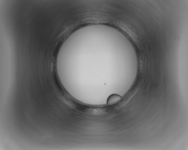 X0000112030165200908031029