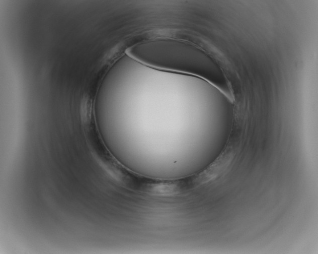 X0000112030168200908031029
