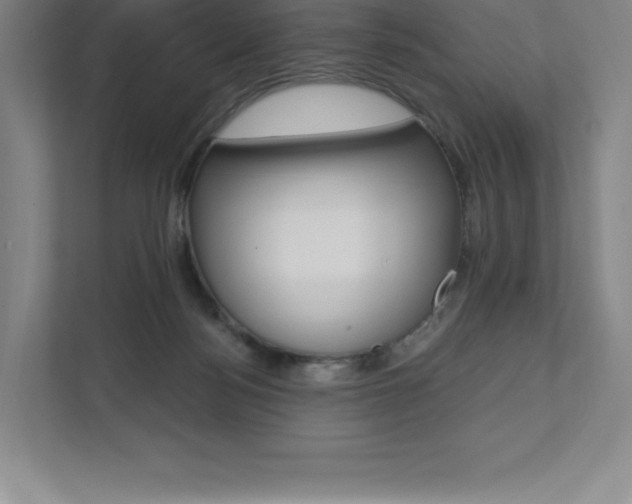X0000112030172200908031029