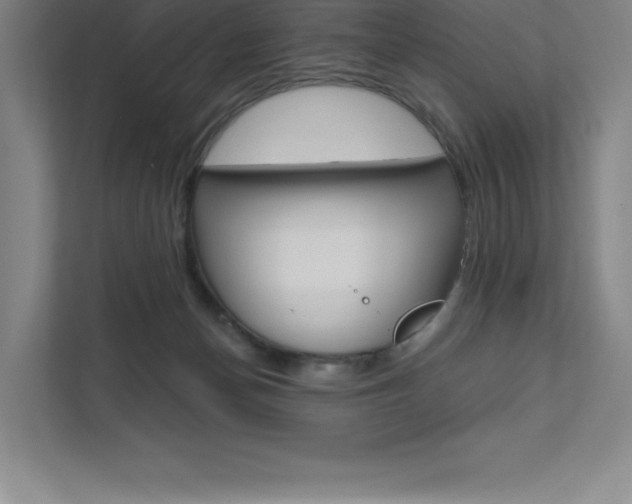 X0000112030174200908031029