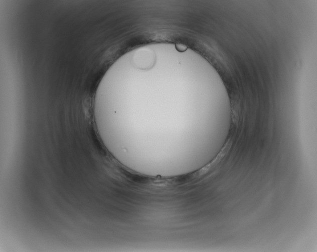 X0000112030175200908031029
