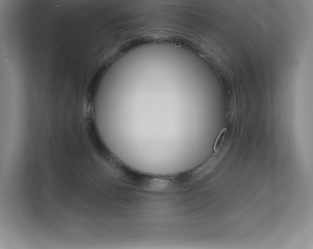 X0000112030176200908031029