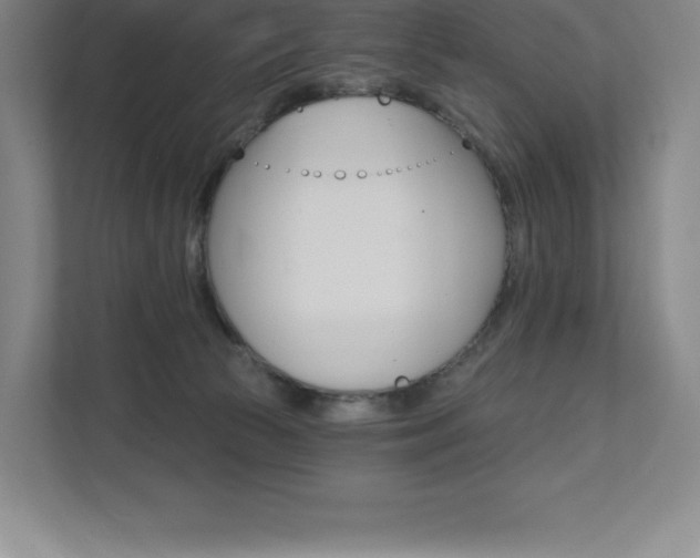 X0000112030177200908031029