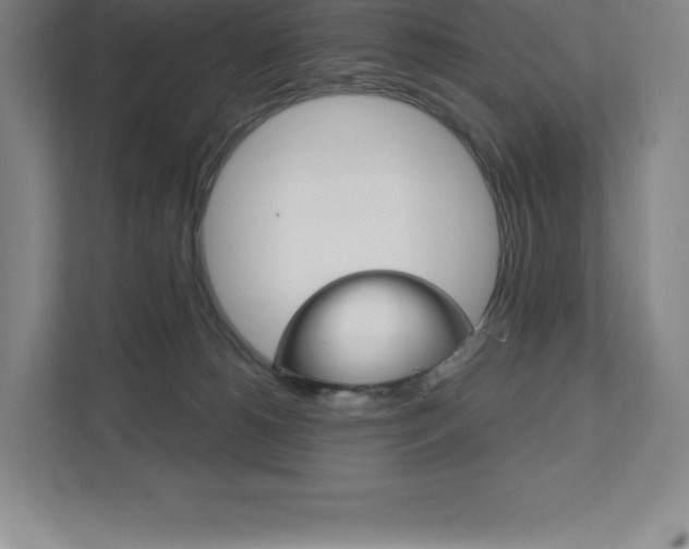 X0000112030180200908031029
