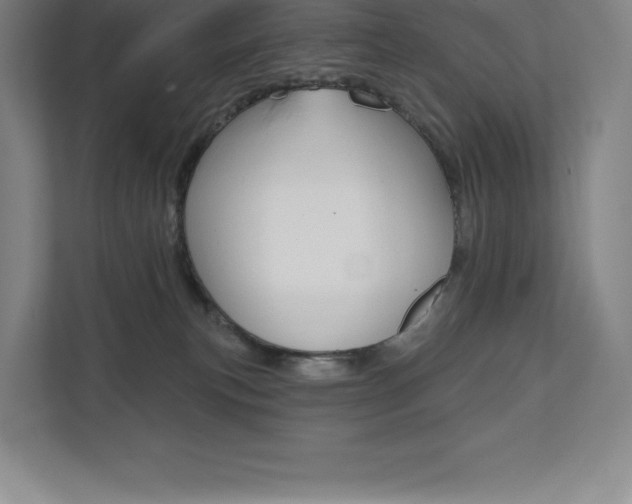 X0000112030183200908031029