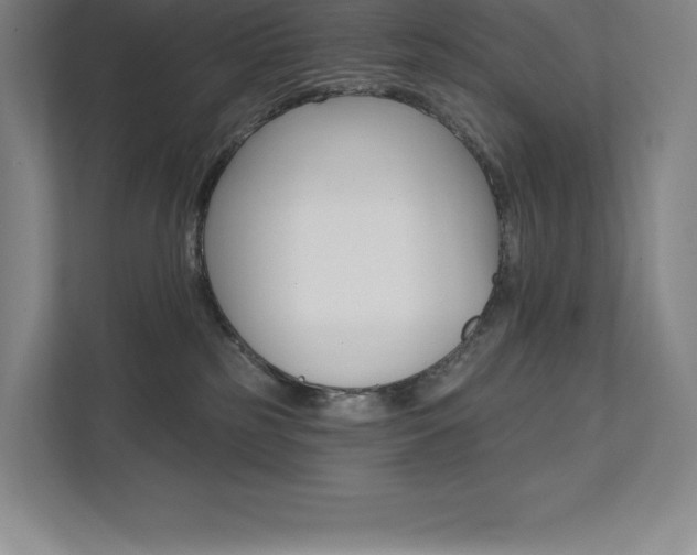 X0000112030185200908031029