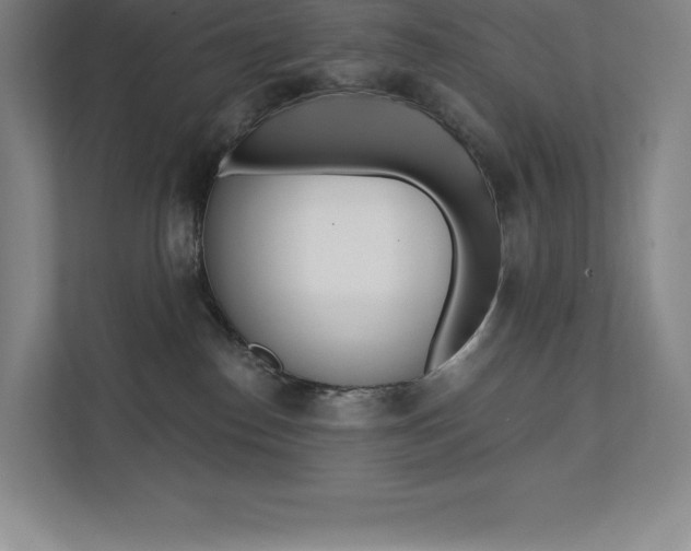 X0000112030186200908031029