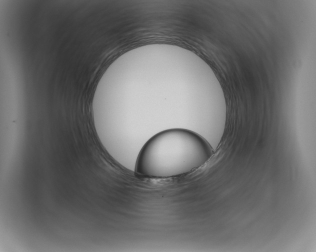 X0000112030188200908031029
