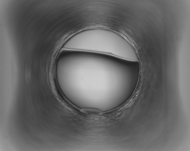 X0000112030193200908031029
