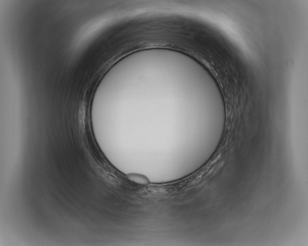 X0000112030194200908031029