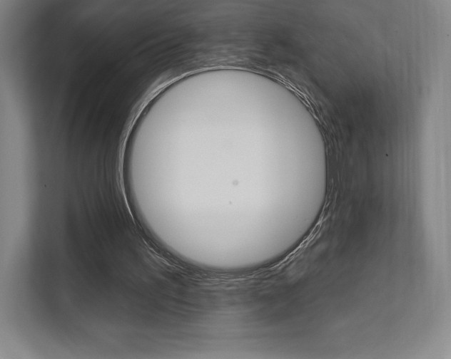 X0000112030195200908031029