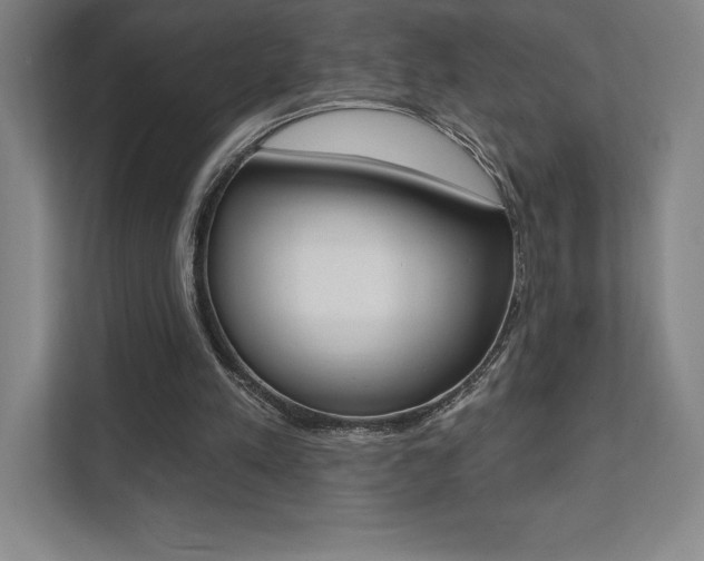 X0000112030197200908031029