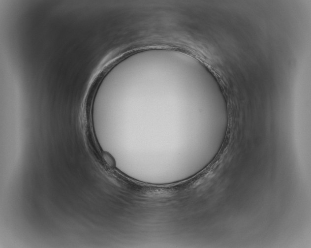 X0000112030198200908031029