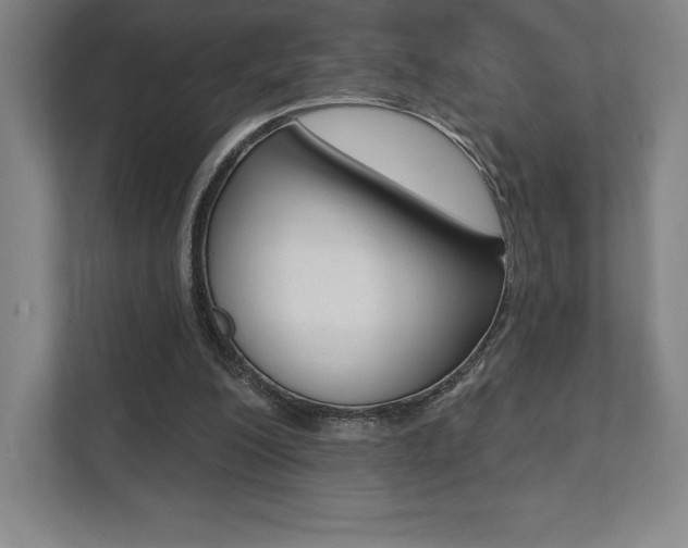 X0000112030200200908031029